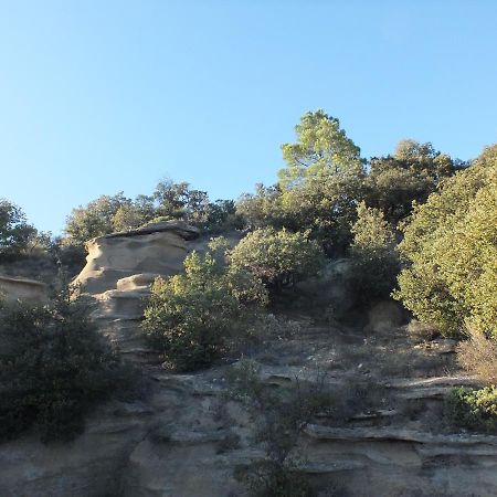 Une Ronce Sous Le Figuier Rousset-les-Vignes Esterno foto
