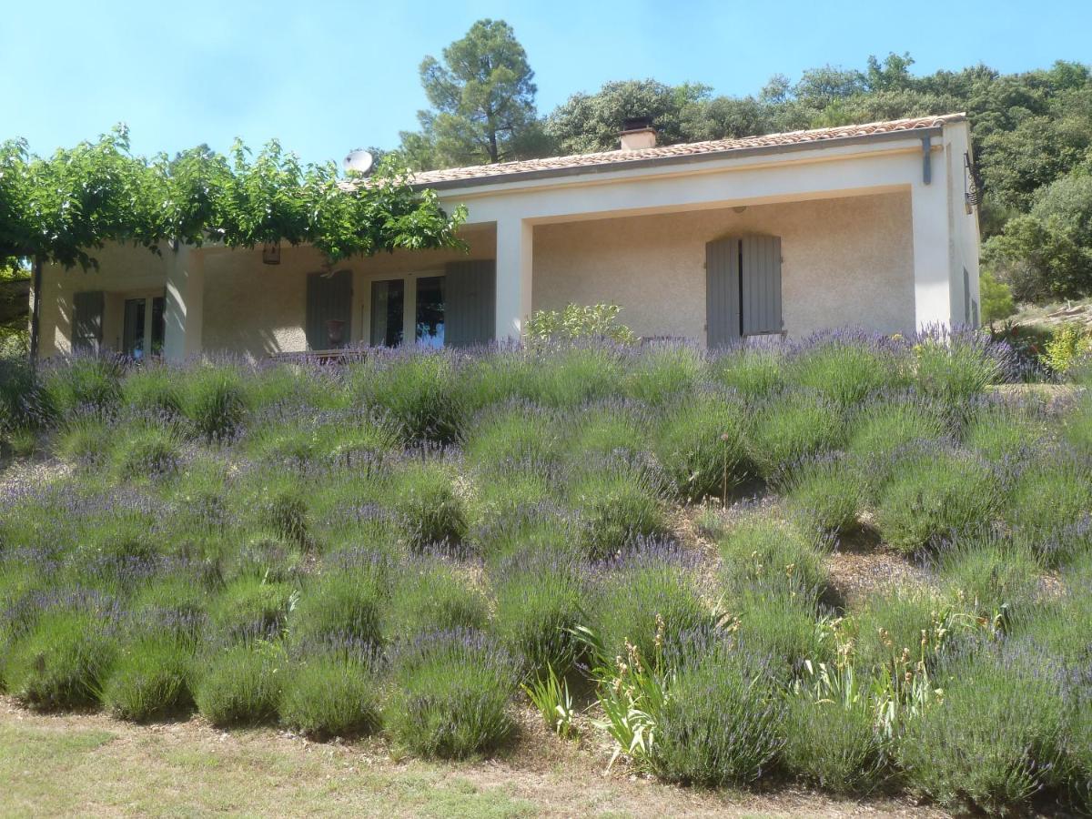 Une Ronce Sous Le Figuier Rousset-les-Vignes Esterno foto