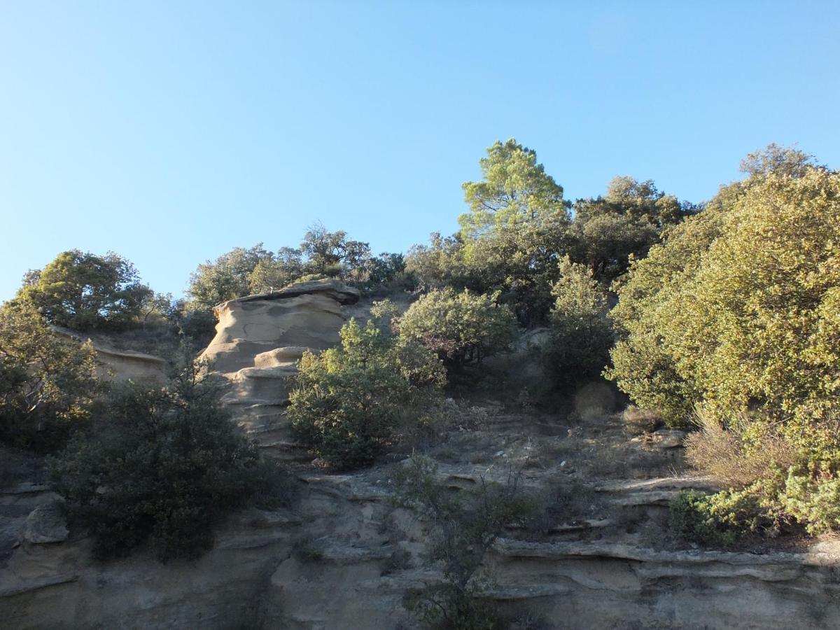 Une Ronce Sous Le Figuier Rousset-les-Vignes Esterno foto